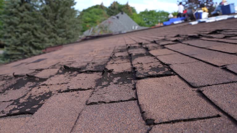 Best Asphalt Shingle Roofing  in Verona, VA