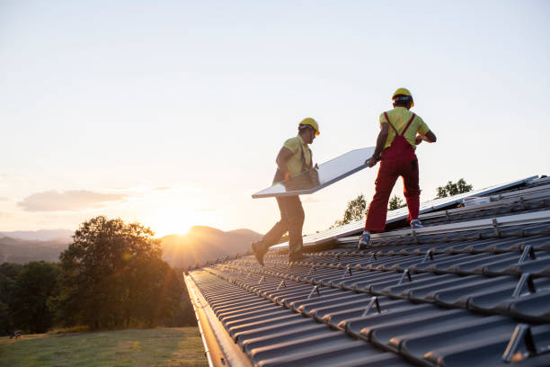 Best Roof Moss and Algae Removal  in Verona, VA